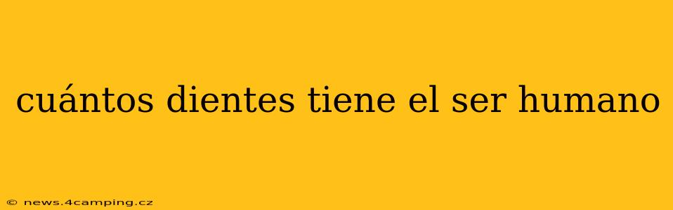 cuántos dientes tiene el ser humano