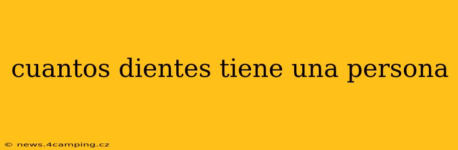 cuantos dientes tiene una persona