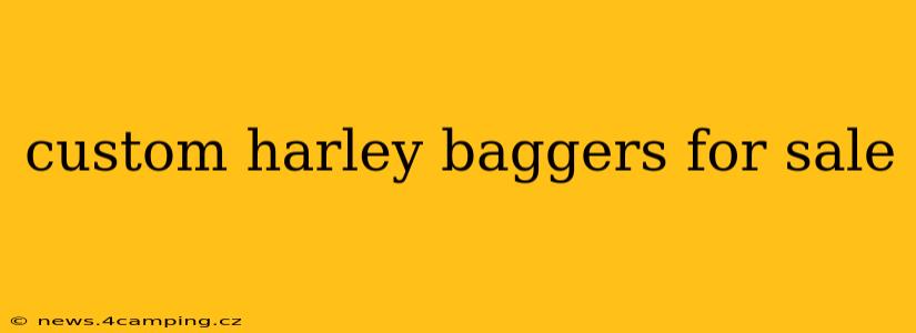custom harley baggers for sale