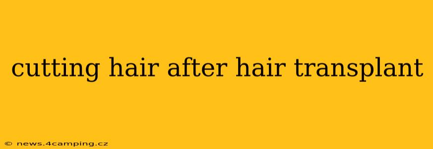 cutting hair after hair transplant