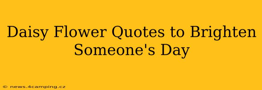 Daisy Flower Quotes to Brighten Someone's Day