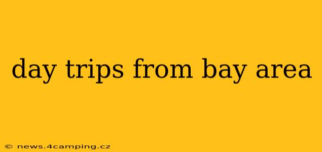 day trips from bay area