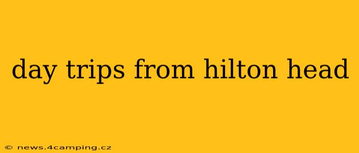 day trips from hilton head