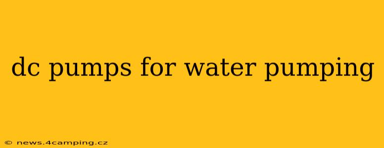 dc pumps for water pumping
