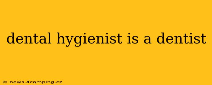 dental hygienist is a dentist