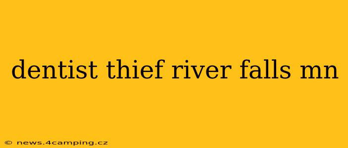 dentist thief river falls mn