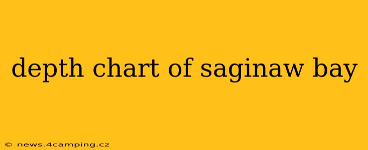 depth chart of saginaw bay
