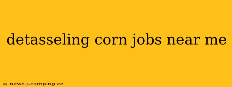 detasseling corn jobs near me