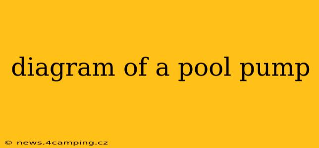 diagram of a pool pump