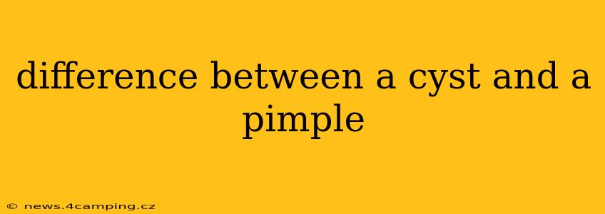 difference between a cyst and a pimple