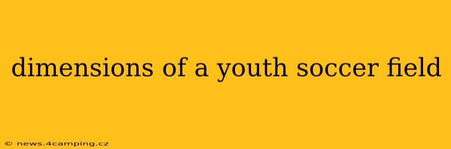 dimensions of a youth soccer field