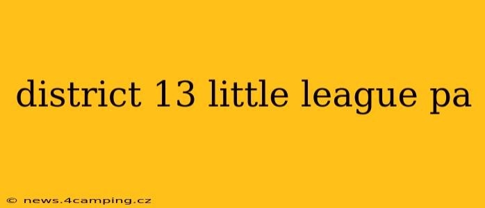 district 13 little league pa