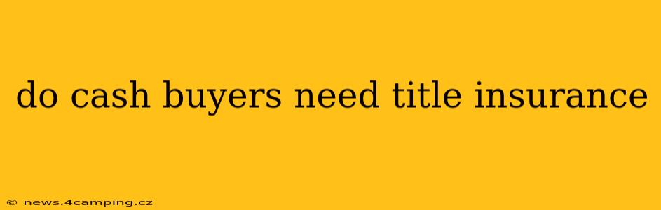 do cash buyers need title insurance