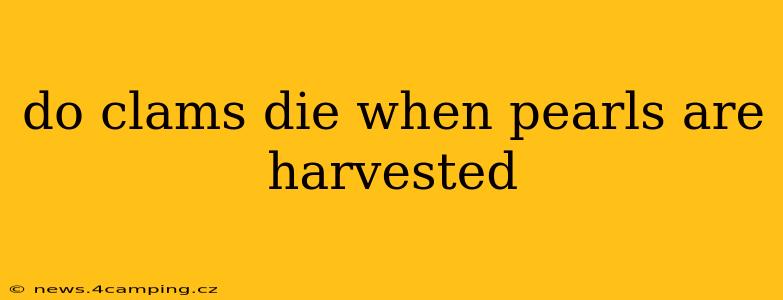 do clams die when pearls are harvested