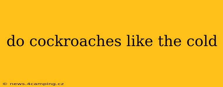 do cockroaches like the cold