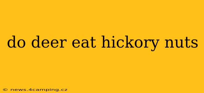 do deer eat hickory nuts
