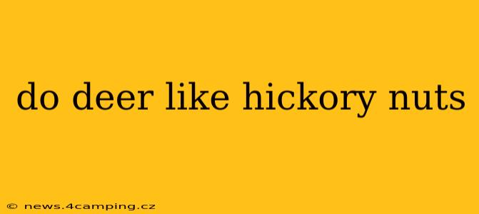 do deer like hickory nuts