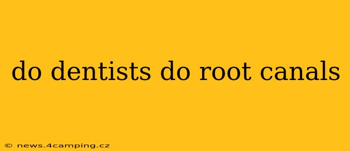 do dentists do root canals