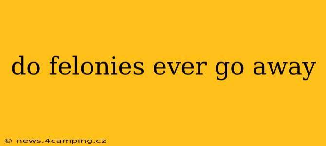 do felonies ever go away