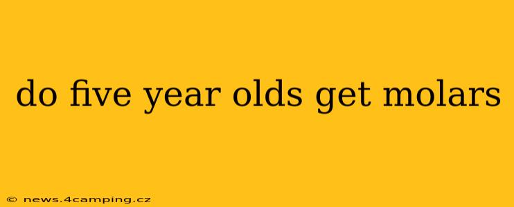 do five year olds get molars