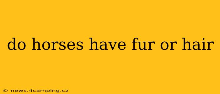 do horses have fur or hair