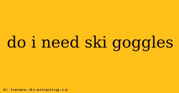 do i need ski goggles