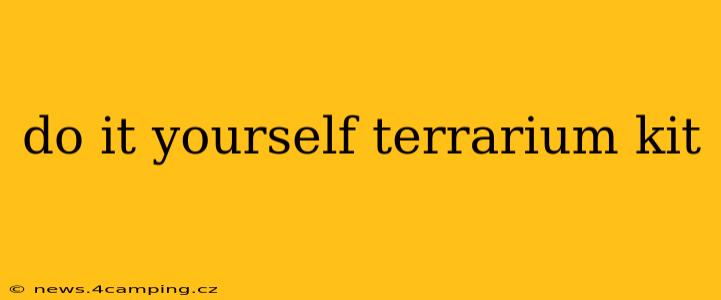do it yourself terrarium kit