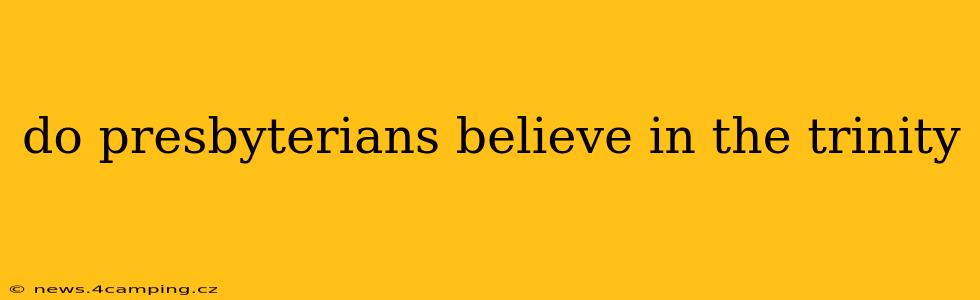 do presbyterians believe in the trinity