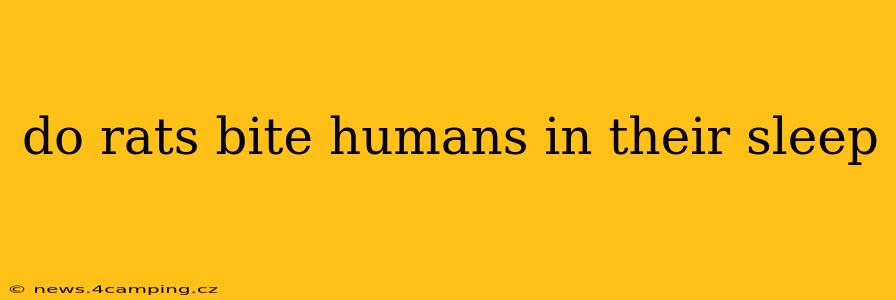 do rats bite humans in their sleep