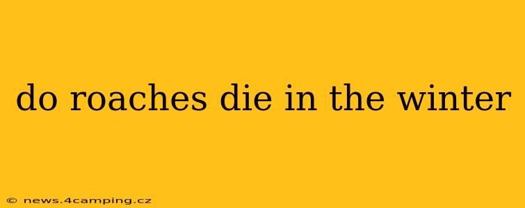 do roaches die in the winter