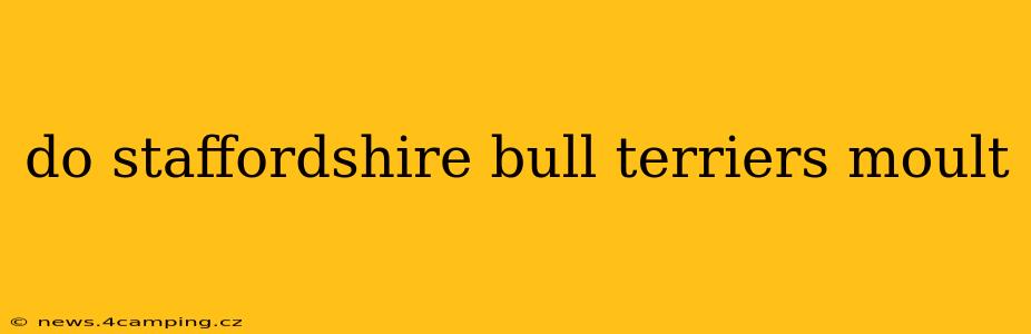 do staffordshire bull terriers moult