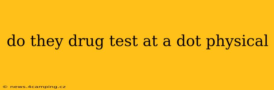 do they drug test at a dot physical
