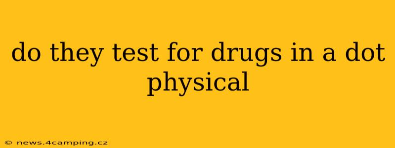 do they test for drugs in a dot physical