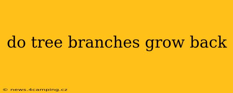 do tree branches grow back