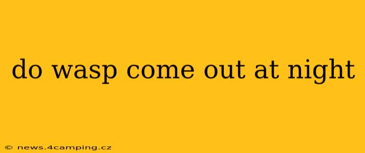 do wasp come out at night