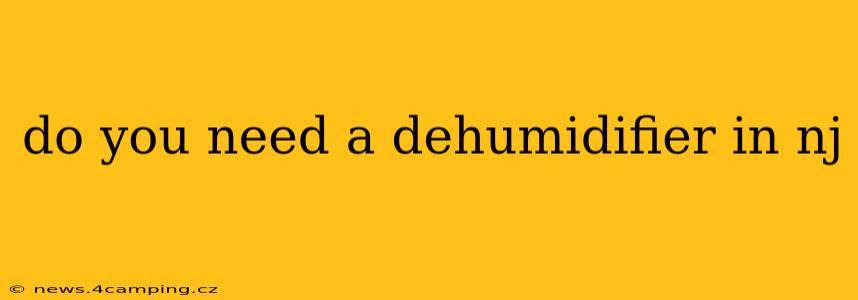 do you need a dehumidifier in nj