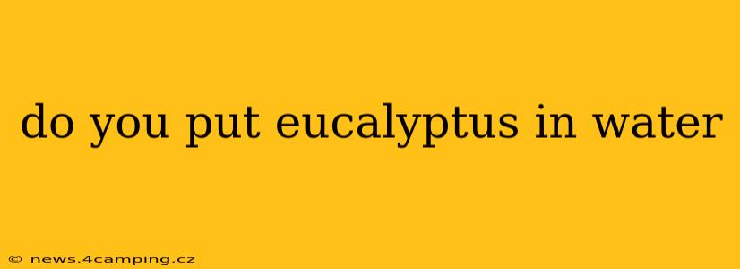 do you put eucalyptus in water