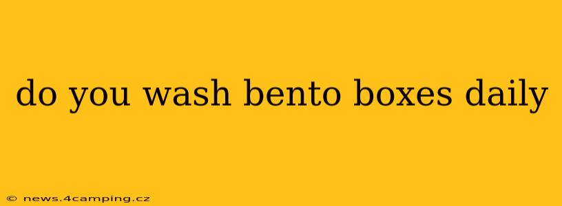 do you wash bento boxes daily