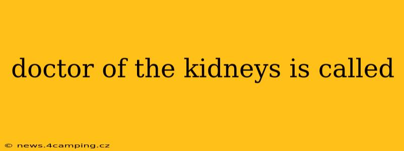 doctor of the kidneys is called
