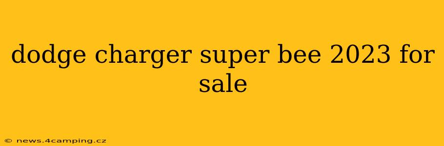 dodge charger super bee 2023 for sale