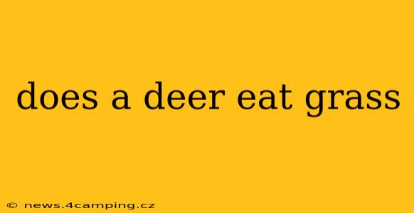does a deer eat grass