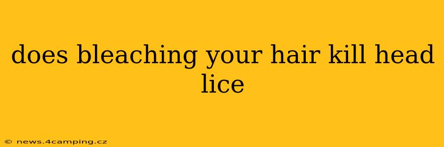does bleaching your hair kill head lice