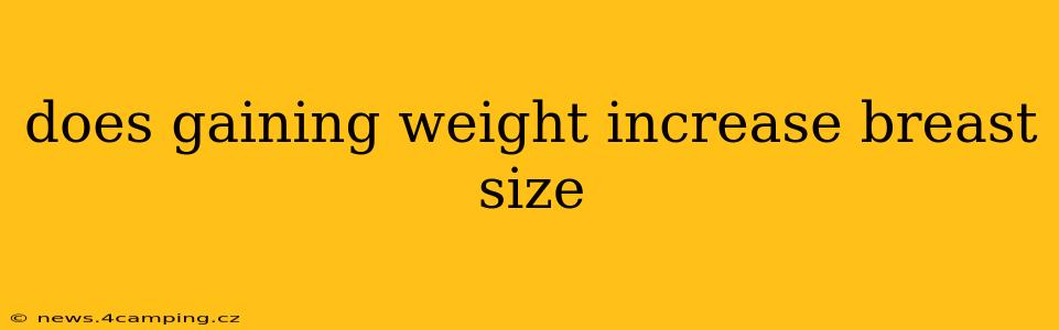 does gaining weight increase breast size