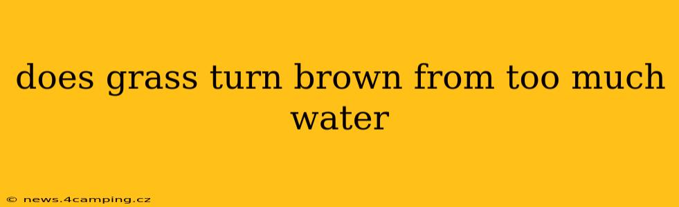 does grass turn brown from too much water