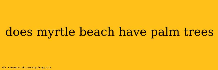 does myrtle beach have palm trees