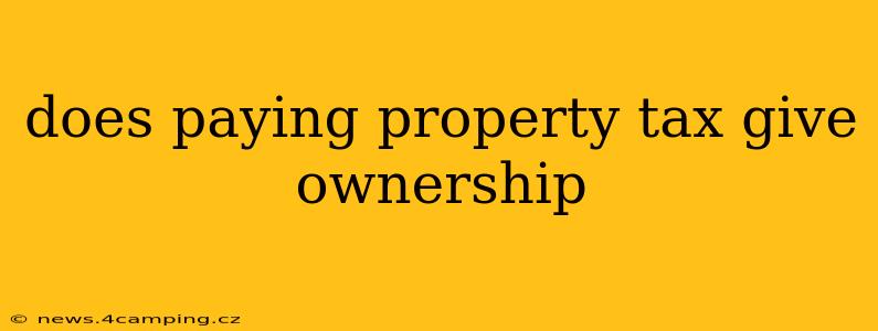 does paying property tax give ownership