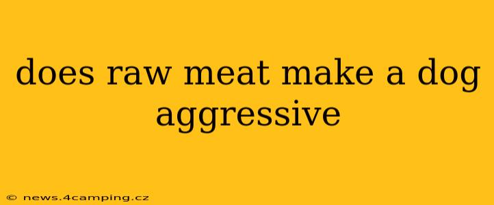 does raw meat make a dog aggressive