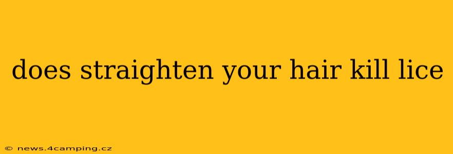 does straighten your hair kill lice