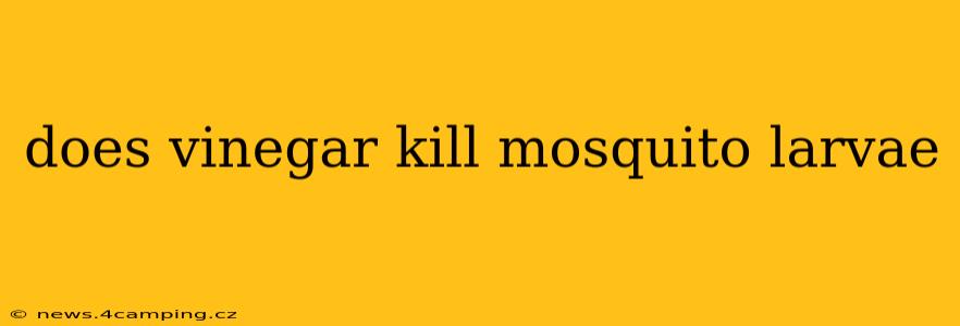 does vinegar kill mosquito larvae