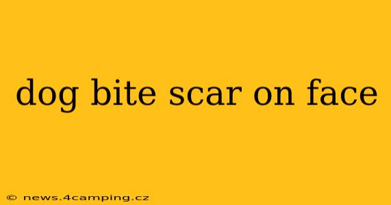 dog bite scar on face